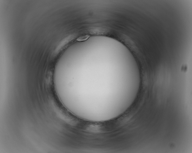 X0000112470071200909071143