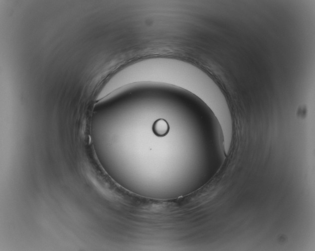 X0000112470072200909071143