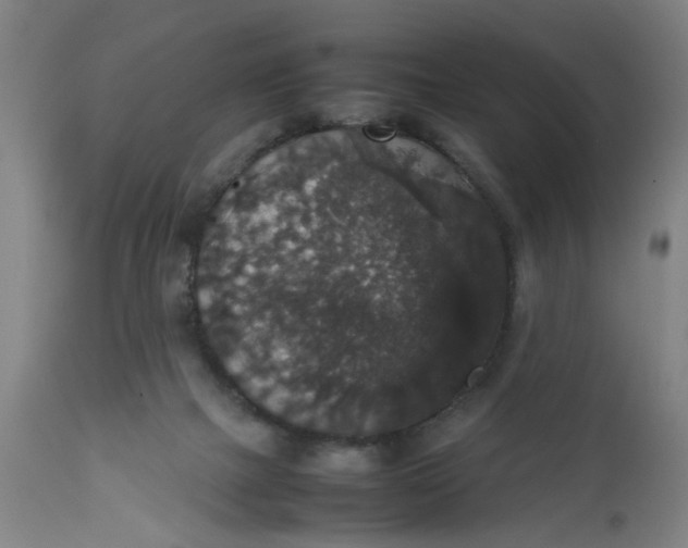 X0000112470073200909071143