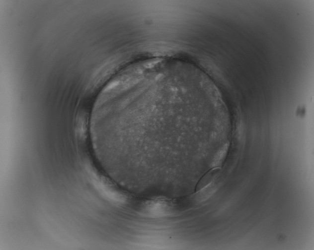 X0000112470074200909071143