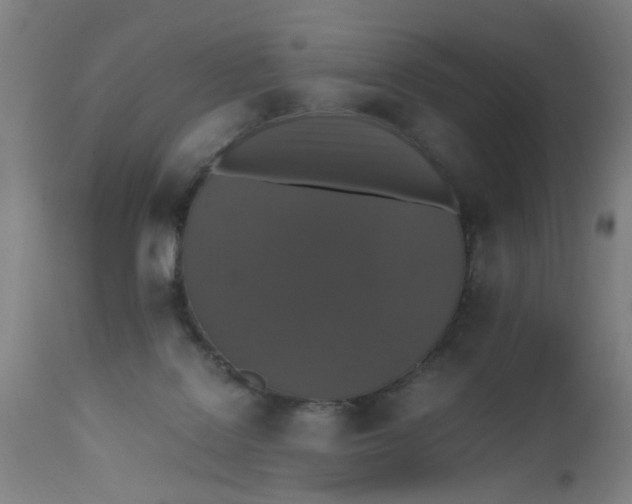 X0000112470076200909071143