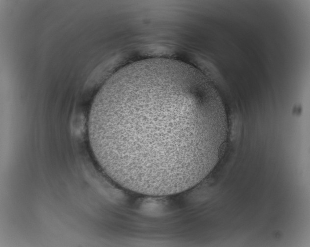 X0000112470077200909071143