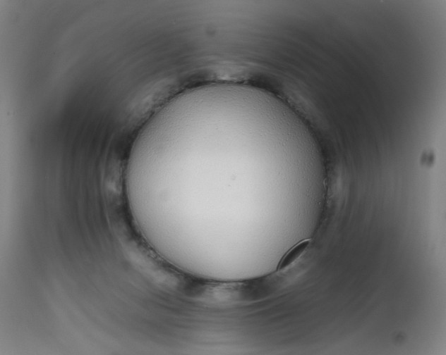 X0000112470078200909071143