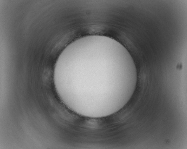 X0000112470079200909071143