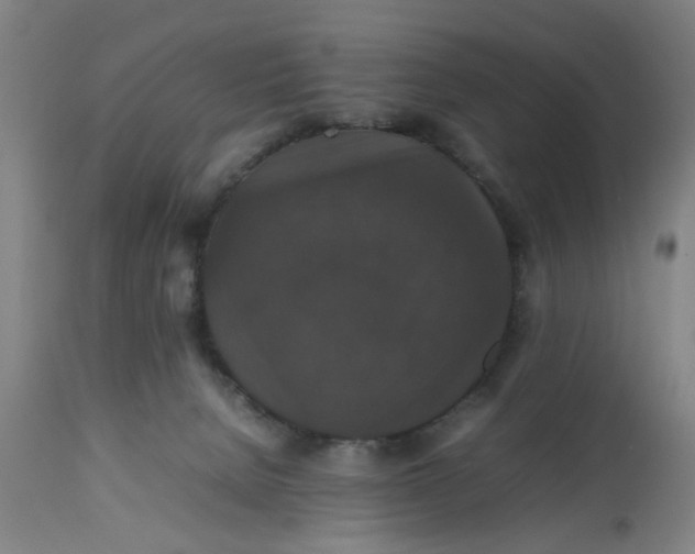 X0000112470080200909071143