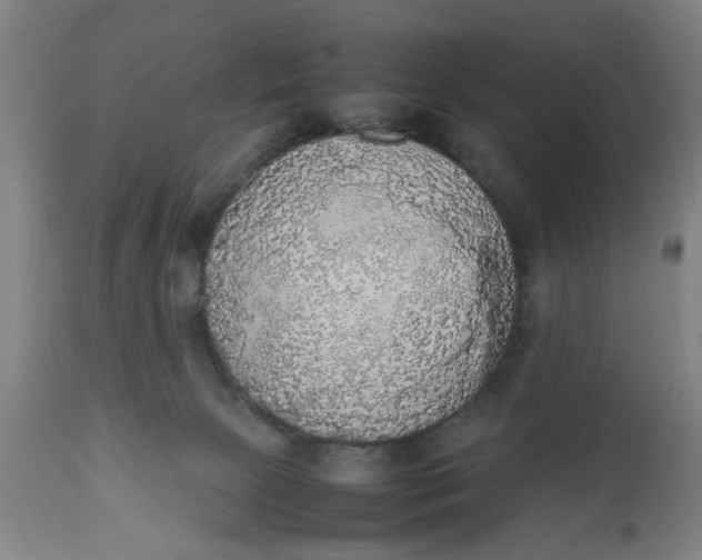 X0000112470081200909071143