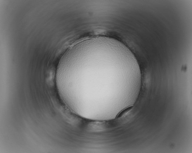 X0000112470082200909071143