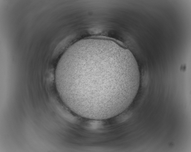 X0000112470085200909071143