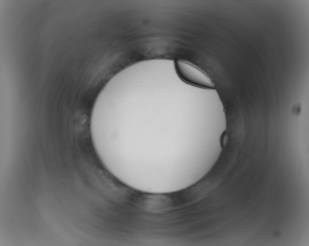 X0000112470087200909071143