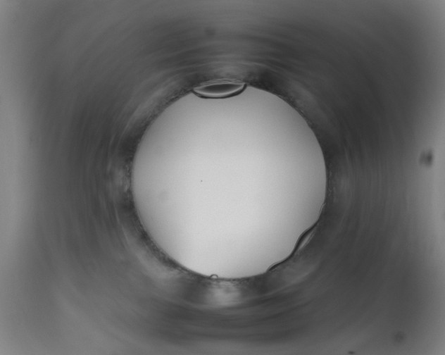 X0000112470091200909071143