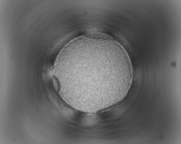 X0000112470095200909071143