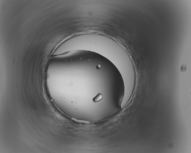 X0000112470097200909071143