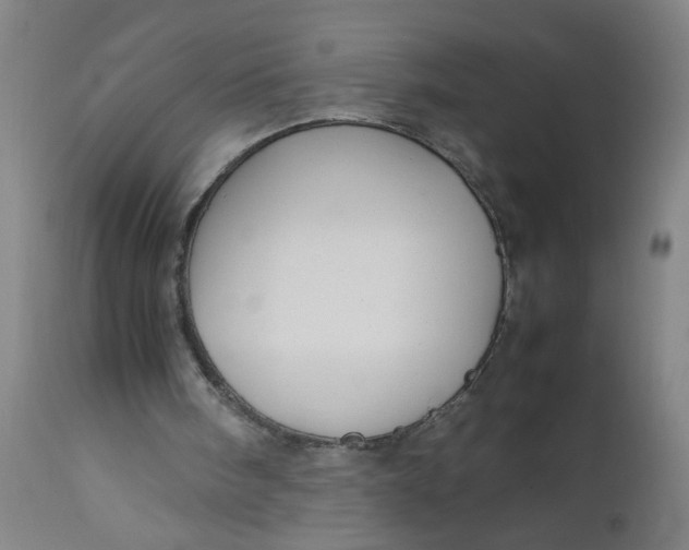 X0000112470098200909071143