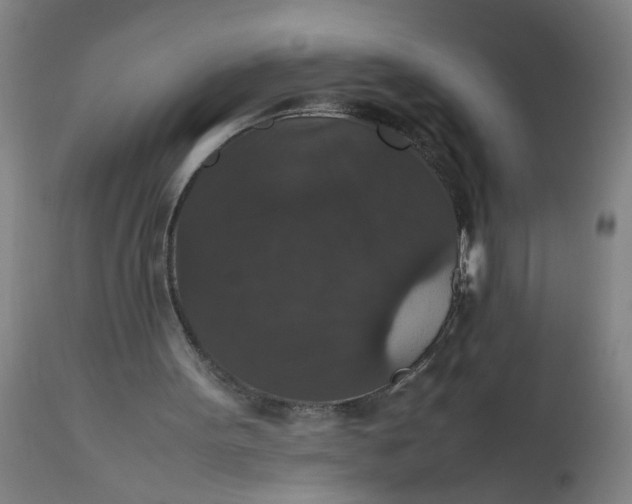 X0000112470099200909071143