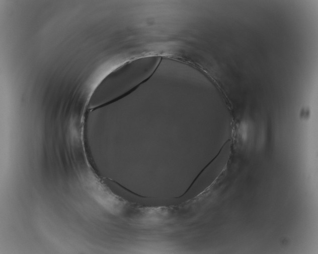 X0000112470100200909071143