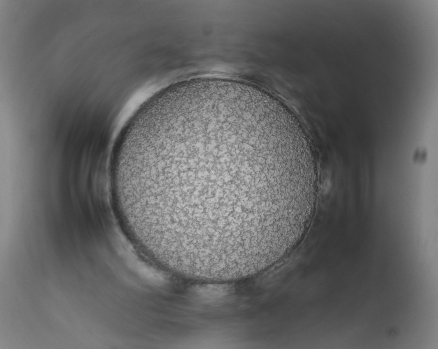 X0000112470102200909071143