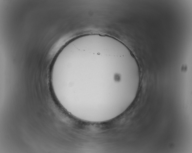 X0000112470103200909071143