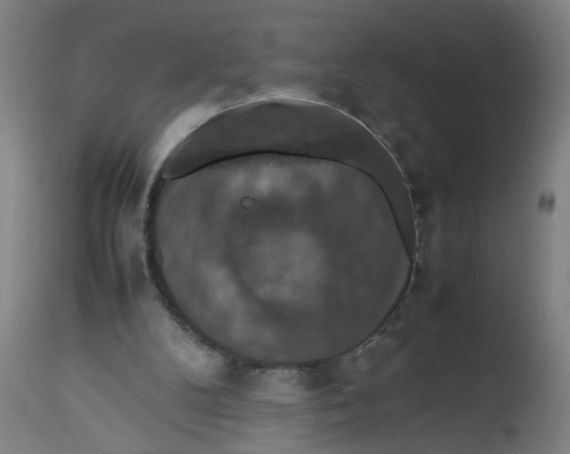 X0000112470104200909071143