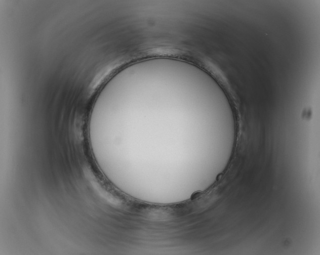 X0000112470106200909071143