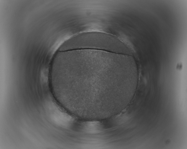 X0000112470108200909071142