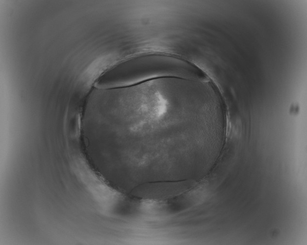 X0000112470109200909071142