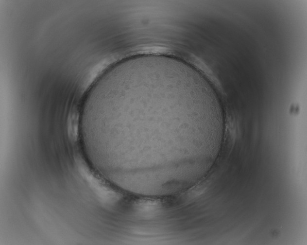 X0000112470110200909071142