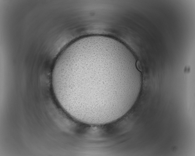 X0000112470111200909071142