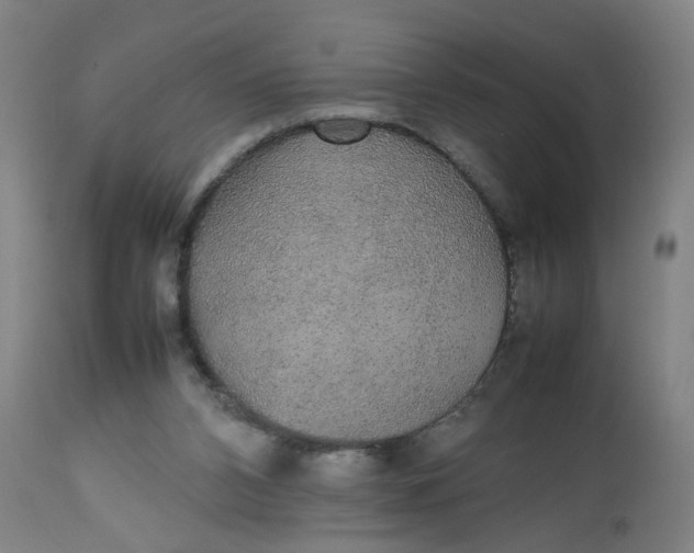 X0000112470112200909071142