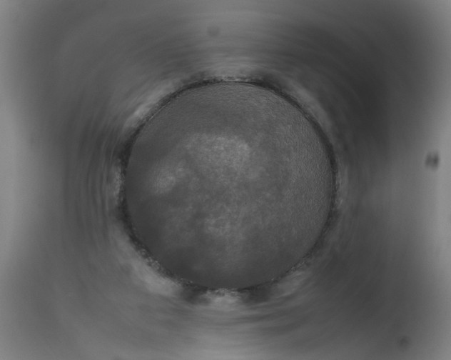 X0000112470113200909071142