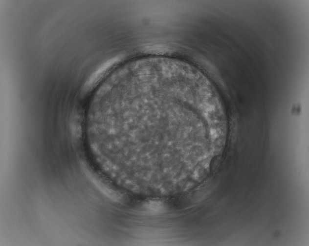 X0000112470114200909071142