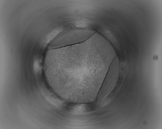 X0000112470116200909071142