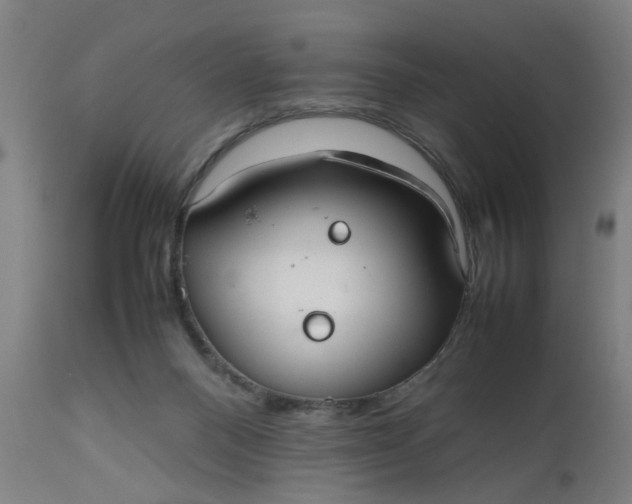 X0000112470120200909071142