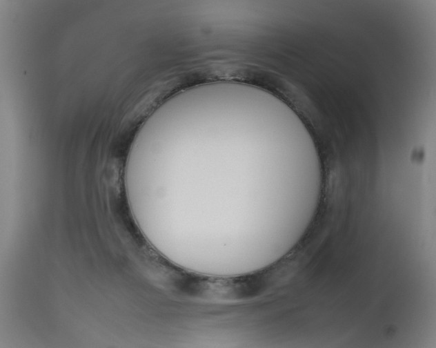 X0000112470121200909071142