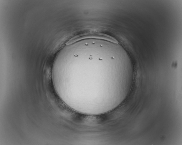 X0000112470123200909071142