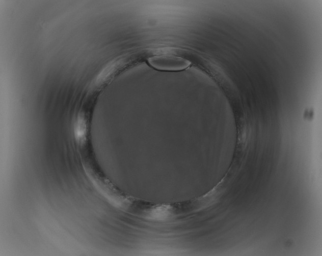 X0000112470124200909071142