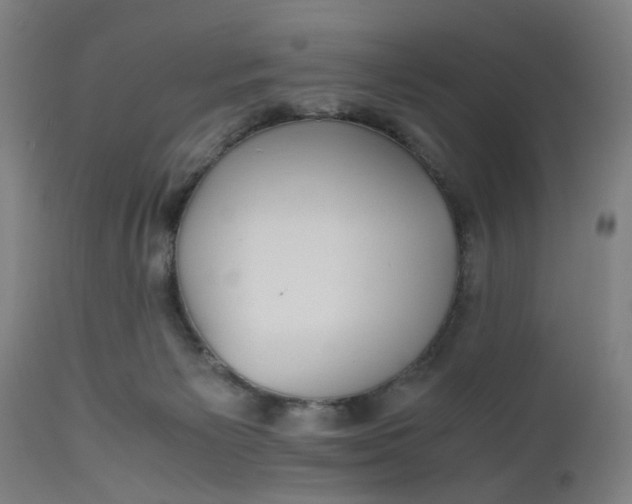 X0000112470125200909071142