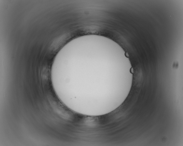 X0000112470126200909071142