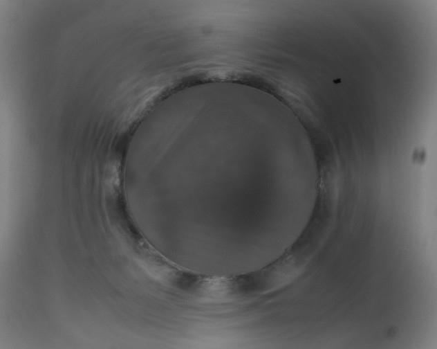 X0000112470127200909071142