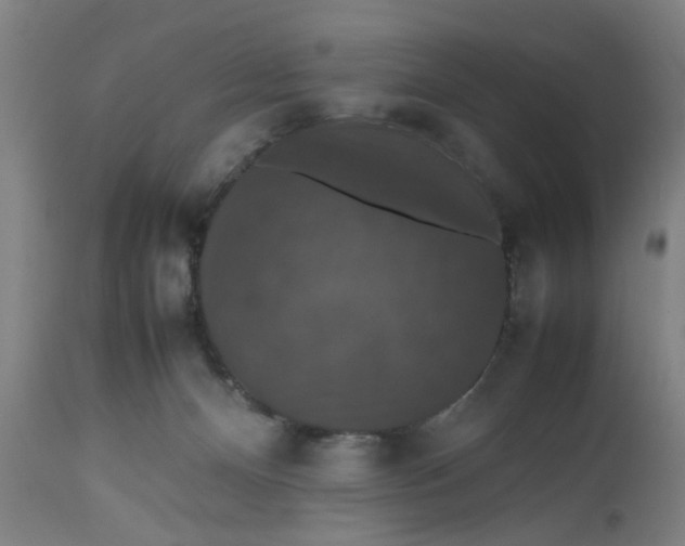 X0000112470128200909071142