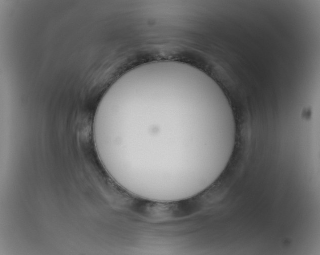 X0000112470129200909071142