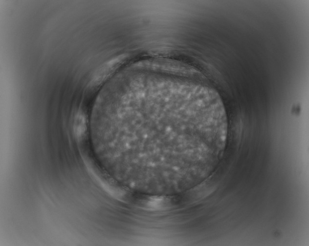 X0000112470130200909071142