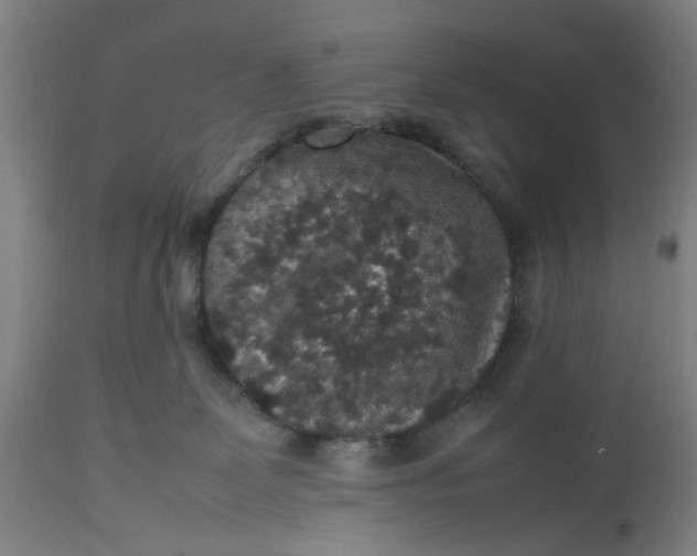 X0000112470131200909071142