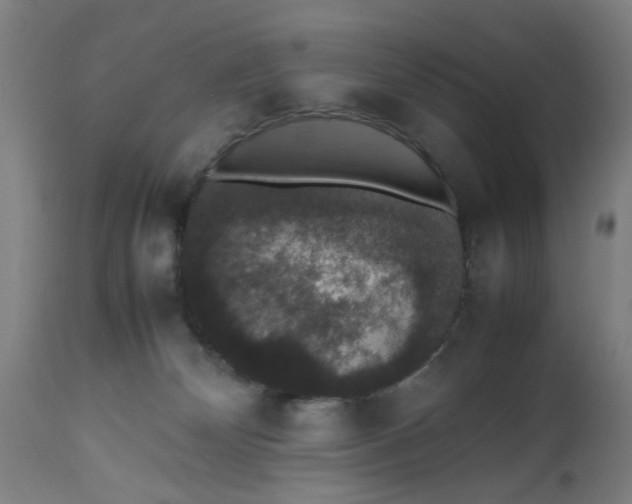 X0000112470132200909071142