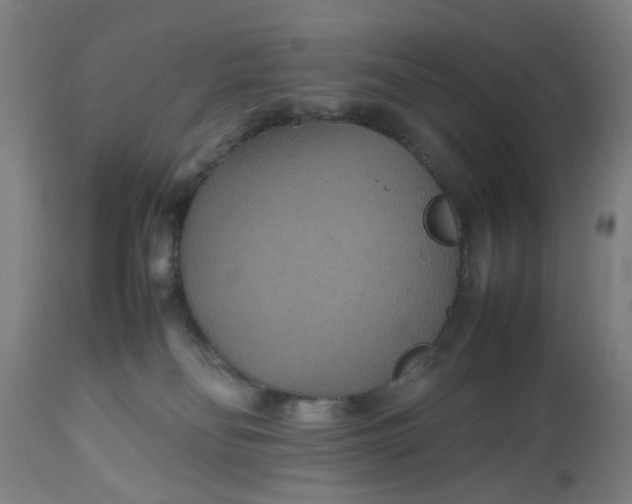 X0000112470134200909071142