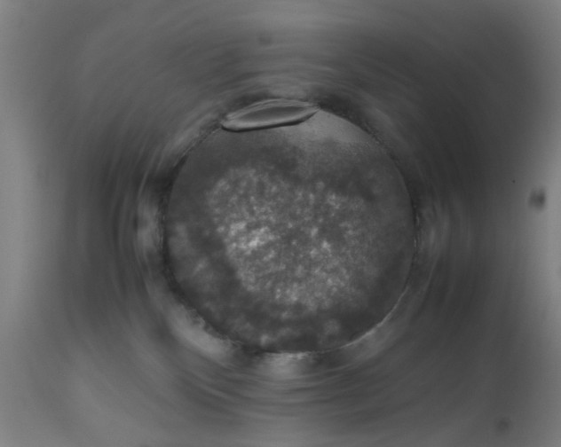 X0000112470136200909071142