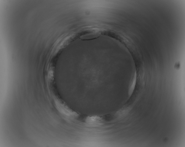 X0000112470137200909071142