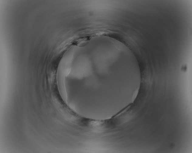 X0000112470139200909071142