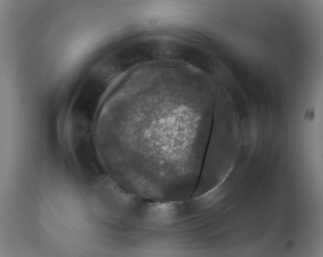 X0000112470140200909071142