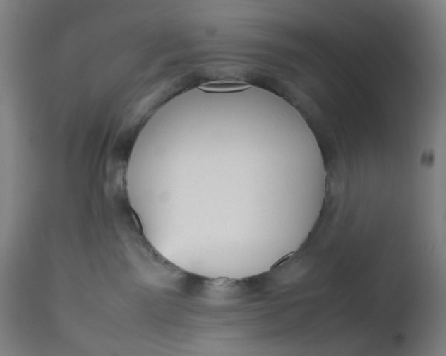 X0000112470141200909071142