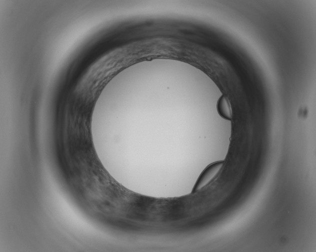 X0000112470142200909071142